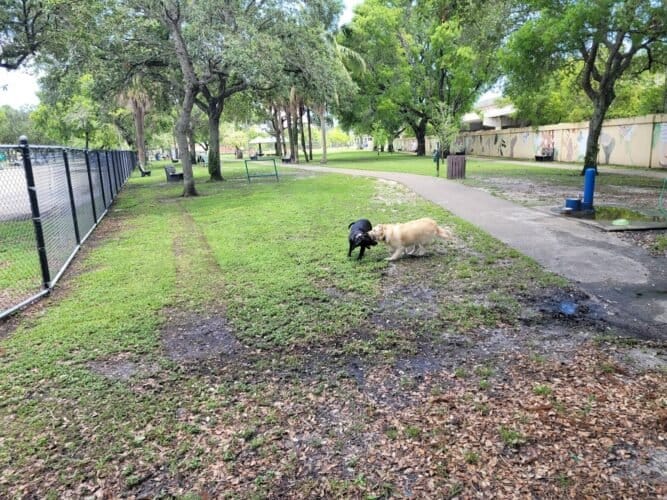 AC9h4notIG7FoR5 2vYZU4 2EyOzZCpn9uwZQnL E aFDSICkRjRnIi1mowBTk4sBSM3oQsedkK8TwCtKOgqAKaz 5t5c1zgsSlJ 2I PxqWMz8XnoxCFxzcw Y3V46Pi6Gb40o5B8w1600 h1000 k no