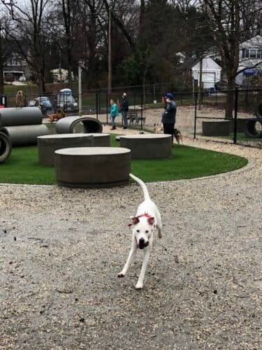 AC9h4notR6HQQshSnegMML99fvxjpAvuMC 0WxNUIJVs1utHCOo5xC yvucH8z84LKyNKbJ5j4A17w7KfNUH96JafBvhCvVGqEmzXcWsJfAcOdUgHfJk3s77ESEINkEA0xvORbLHFPIiEAw1600 h1000 k no