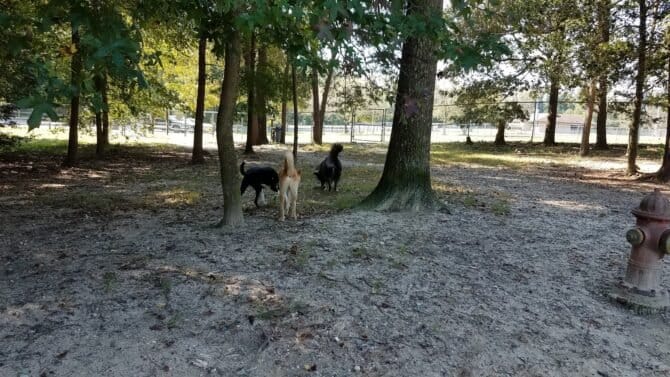 AC9h4notSg2bXlMYQrnImqeYZ49a2stUbZOdDS6dmlSmuXz9XoOnoyTSFCmjJ64CbRITkd2zR42 HpNx4gKgVX4kU9t2u4ldSzH7NBsLbgw1600 h1000 k no