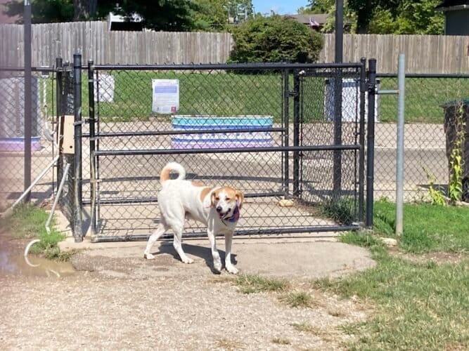 AC9h4notZGFqOgHu68Qc 0dEu5iwFaUBKx2OrwCs9Z0mxmS5zjeMsZADhQQiZ8mBqkAThZFEB02nFvkYp DBijzEf0j8wnoInDwGN9xB21dAXPqISurtLjNxUvC SqQt2eqryXRKRaETw1600 h1000 k no