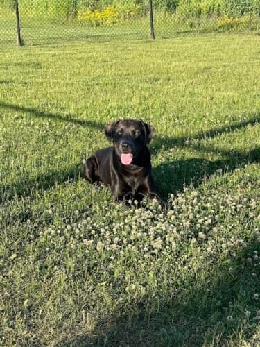 AC9h4nouIK KXF0gGcw5 tX7oV1P52Z7NG7TreQJXTto3K8 dzTnLQTswG4 XS5P7rotggTGLD391jdN448zrGzkeu6H0NKGR5V2xW1ZEPrmLZru474uzY8LzudRzNJu7rhDAY3hC8n1Agw1600 h1000 k no