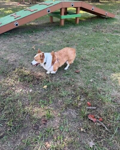 AC9h4nouL5V7EIDxulS0 NSPEPUCR7XonrtGD kWV1KoqdOiHhd44qQvhhbTagTZe3 UknpXc0VF5Lj1wmF7wt8 psCynHlTDWHVvKLZamlpgu1aLfwExvARSRJC7nfkySIpw8HvRjHJw1600 h1000 k no