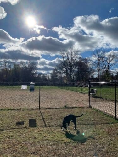 AC9h4nouXpAcF31qxEFLZQY xx rcvLofJe1wI1XV92MW0VblBuNAO2 dwOuymkiIdAArzAmuXN0vsvMKT7JXs2xVaNp At29Fz8D6OSYeL6Gs44qhYGTdWaN6 7xfPrludafqIZnVnLYww1600 h1000 k no