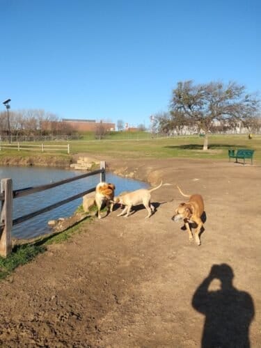 AC9h4noum3vXxZg3sp31yCqN9 0WcTMtPxyeMDAVqUgGq7shDLob7hCYnLjLOmz1QN2IhQHPzcZzV6uVFcZGEvy0mI 5JXe4P5bFBLFwLBKL7k oDHvWnz7Wg20obg8Rh8FDnDGB4nU3w1600 h1000 k no