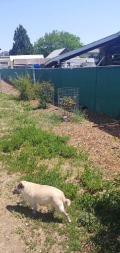 AC9h4nov0IKHU5c1Z0KVodUTg66EWH7ZIX4nq q85SmFLbFb9PCqChIXqJF6XK9j4z3b2QBa97B9C9hsyKI9sQTxwkcRajfCvBrtNB P7MOea7WCCtdLikDFQQECzptKB PHiEkzkdB1w1600 h1000 k no