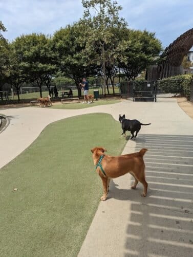 AC9h4nov8kTUFeYlm50dvhF3sy1zzBExQRXT8TnBBULpR7utpyopZB5t eq56N4l1vjFCIYlpx jFdwWCi7dpcNODmvIxmyPtYhBirxvUWKkoBnLCB KLCcc5jmJAvxykVSVeHlxznQw1600 h1000 k no