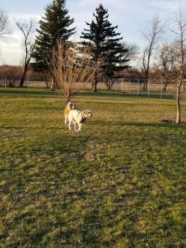 AC9h4novEJ GhPegHMoYVd5 LeZfSqw4p4bu7ukTdvei17gyH7TzcIa4JKWG1QwzYqpxn4tjjJgzHxOitrqKx05Ztp6yQ6L0i dAGX6FaSk dubl5i79uC vPTcDLR4p5m6iX3XifX qw1600 h1000 k no