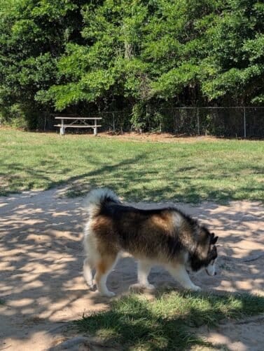 AC9h4novEL YDHos9t76SqoMGKhAU7QJgQr1WvunGQjK5tM4c7c6xb5gQTx RAKRV1p7iD8Dt2UrTqG9hpDO0pIuyX8b9rjQmAYIh5rVbvGw ktEDRqo4EDpt9dJwNeyI15Soxc1NOqGhgw1600 h1000 k no