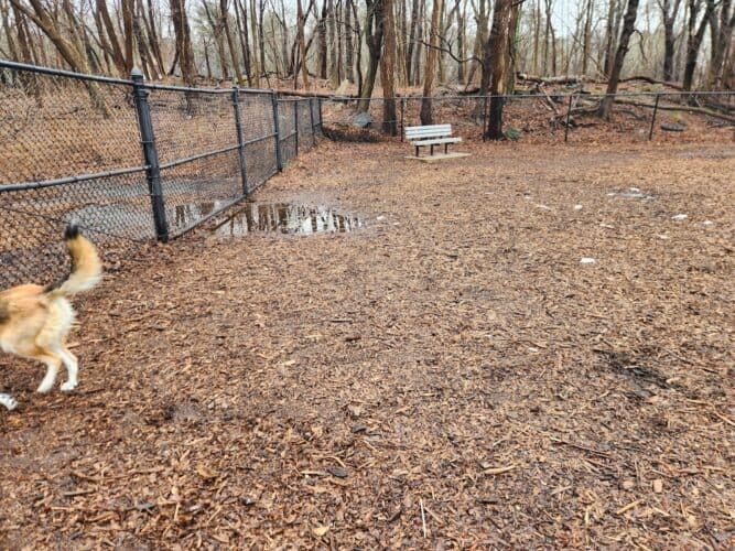 AC9h4novFwnzijG8OPhnMvKZec5AkkCXvmeNDE4KBOvsrScd 1Sir27st8W JT5gaF3pof3WGahI7lxVNs cWvPRq9QnvtkqQN0D b7xzBOedr47BRf PZDg3xiDBYqTUm8sEaNIA3pcGww1600 h1000 k no