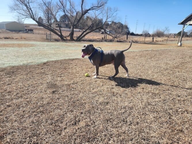 AC9h4novG5iXztMaWlNJKvd6NTPbCTGjZ1doiLGKpN03xQV6PZOolZHOirFT16Ho9QAB3Fw9TgDCJdEuR29GDMscExsI60uST6NcQo80T Nw3Bg5xOgbv Mgywy2ktvWBCLck gE4gQhEQw1600 h1000 k no