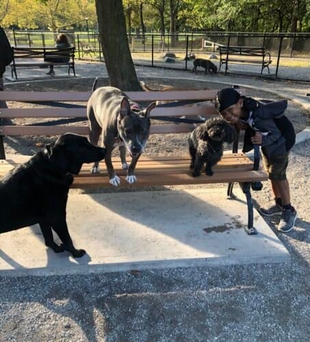 AC9h4novXg6ddF9 wfexc5Z9F3K0eW04EZ 94 6zGKfRb1GQDYllaTSQMIfW8bk2P3bP hqbGMdcnRej EZCRdOFPDIOAvoALAUQKTVEcGuQLggoFmBEvb1CUuVD2X48hUiE7 TgeIZrkQw1600 h1000 k no