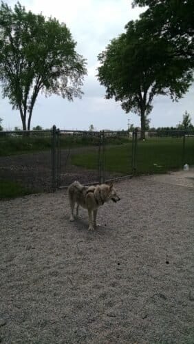 AC9h4novek0ZRXmX 53r49W1Yqdq9U xvvqsTxaomRFfydX SYkIGQcYJa83cbapiVjJJXrZtCuXU8HyJT24Seb1LKzx8JBMFyAf9oUfHlAmRoXSw6gtJ wYjACvHMdzdKSYbm3plD8w1600 h1000 k no