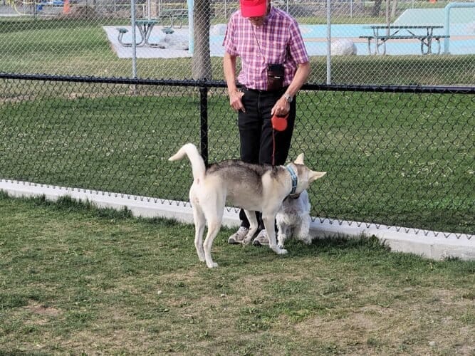 AC9h4novhb8UluVotm3gC ZzuWhL3CBo2eq1kEzqVMn yjK2vdEDM69z2zUoVruM2jVzowsjSpiOHKszXl4k8U08aJ6AXzk4jhmRcnlgYaGR03j32NzyOpTmk6mqTV6OYbE6hGPOoPh w1600 h1000 k no