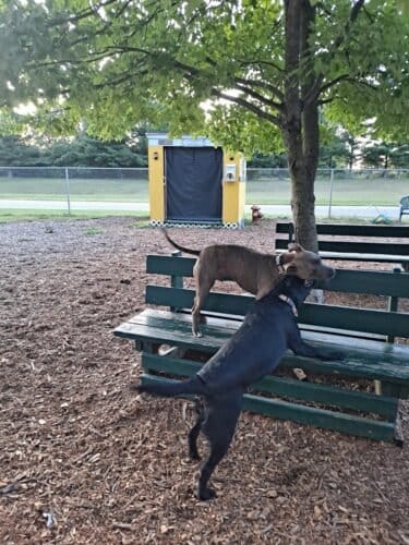 AC9h4novpIZ8kKpcEQtfOYWapu3FpRCxtZB dN3YGTzpwwjI7tvMt2UiTSwxrh3rUFM8dXzCgnID5C117cHI3xBqArXW6szyq8 zLDJzI9cr4ly1m6CxwIv0sRgf9nbewgkpNbWsjNITw1600 h1000 k no