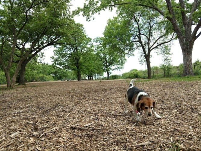 AC9h4novrjQV5NIjoHNc M VZ9zTaDO r2UponTbkFkLYcl9vNosV8l1dkK IgH7176LDrChcWR hZFJslUX3wuRCbDt5tN d6C0y5NmsaCm5rjE67sJIZgGWZ9aDK0KBZ6BGwE6iBmWw1600 h1000 k no