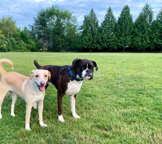 AC9h4novx7StBcvcG6wLHD 4W97EqxgFVW3oKPCRGYJnpMOc 3oaUuH3wyaXlktml7 xoUUjcRz75Hsxfbq 28iDzFIqxvDZ1wqbwSKpwjQ47VgPvbvp rjfekHRVeRDO i26cMCfIc13Aw1600 h1000 k no