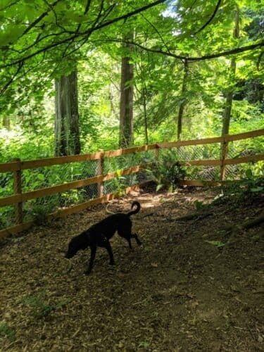 AC9h4now3TWN5h7c23 7P8nr7gSmZmRXqqNu0RSkt9r4GESZi0JvWKqsef9MksKy T6PEqd 2M2Q d5CngRskb0qgrEmmWieqgcPtarhOFlBOq xmPPwhHaxkGr3UW11ugwrRdBLYuKhnQw1600 h1000 k no