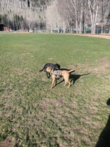 AC9h4nowVPwdy1xkU5QgscVamfuxFEGJYKwygdpDf1aVYG13u2SZM6B0 TgJsGrJGcTUgkSEpkvUfX2tUSB eZDOJ SvrWn6JjH dC4C10l2Ig36 RyAu3W5XpQO GFo3swGQeJVeZEx6ww1600 h1000 k no