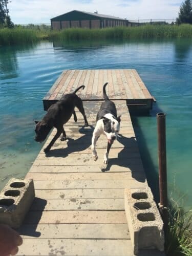 AC9h4nowVhocB0vwsUr4i5pf4TZccWEUPgHWrwN2ah34AdC51gzPDCPmrBZUU4TJRNvKjF1ns6RsOzagI9JHlmCcKSqzvl84t6QonLgZsyvwPxYHLUWbT41dNj27jpEJUtyHerPmqvz4w1600 h1000 k no