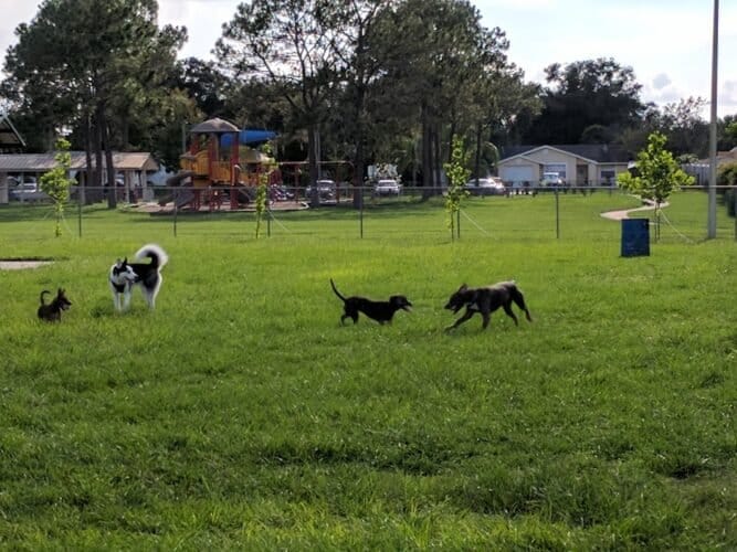 AC9h4nowWFpQYD6l7i4cmM59f D6iczC01ylNIH50zeDOuKyK5N5RWyZdI0iANzaTuw4bBN4aJLJV4t897s7llElr1MVr2bTi9mJIGfXItxRvWOXf5milWoDn2RWBn0ujy7UEF9yPNrCw1600 h1000 k no