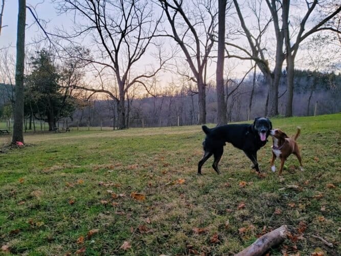 AC9h4nowrK3Fj90jULlzj2vH0zGHkkuPEXL ePoxYjTeClumPnVi9pudgpS9Wj8JDmHYJfHbLf DD lv9NKfrCCxTtV3e bSxaonauKpea0EZWAX mAfrKPgwV8h oNMvhm1OciJJLN3Yww1600 h1000 k no