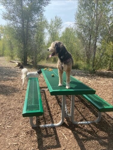 AC9h4nowxt WC8 d YiXPssj80GE7YIr18EmoGvw 5sfdCGIZiMMUyxcpG1Rk8lq ha3kcvdcAwvhRfe8VtIdprAz8ARefK3v tQQPfhVRNaiN6KDJfqT9V8FQ Onv21nSO06Z1gJ3SKNAw1600 h1000 k no