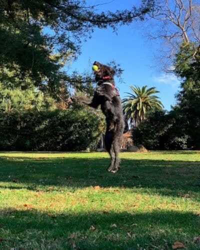 AC9h4nowz 8zh18MsiUugYya7kpRSMp13qYjrDmR5ZDOzhQkSrzBdNS2n4chkRsyV9IY7JBIX6zaRhM fI84M8 r5b31wbORHSRwPj8hHZmTHNn5UNC0G7lf1OPNN4u2U ZDPL8MYtnKw1600 h1000 k no