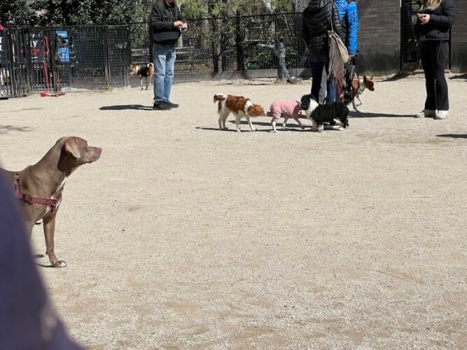 AC9h4nox5bwDmm615XW8ZQAltzs3Z8ELS2s1JMeqtDOUekof3qAvmz5ZEA16SSzKRQce0IeAf5bCe4iGeQ MujK4YXSI0DxLDoxrHG2AX7lXa7AktVSk5o2pfrvADDMLosmhrRcuuDAw1600 h1000 k no