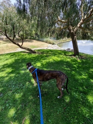 AC9h4noxV9EL3bca40JkBT0pNwmPsXF3SL5T3Z753uix1 PYLR8CUC82zkPZJ ZzQVgx zQMZfa2vnb5 vcA6OGSr0AHyj4DEyJzvyclV9fZQHO1HaK0RxTHf0D4KVhx 6NhWP2xjG Q0Aw1600 h1000 k no