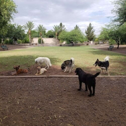 AC9h4noxYqJls70WSBnrr4ESpEIrKGGDCMVDwNBWck4OZrBRcS3l1sYz INV7 REKjJVb I0y1hTJLI V9aYuz9o8utytmhtaYXiHjVduTH8NdTOIQCWucs68fSzrGHXyYCWdIzaoh0w1600 h1000 k no