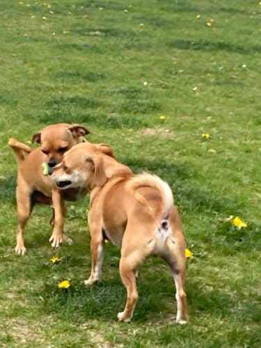 AC9h4noxf2ZS9k7fjZPGluH NhGg0BWYqw4 LnOMmpF5EMCF2RuhiKMUP2w2yXWQw71QMJytdnmYy95YRJoK4QigXbKTg QWuUV5S17p4j zFaOraAaGIzMaMapQ9ZPQy1UBv 69dUSVofoQ6iRsw1600 h1000 k no