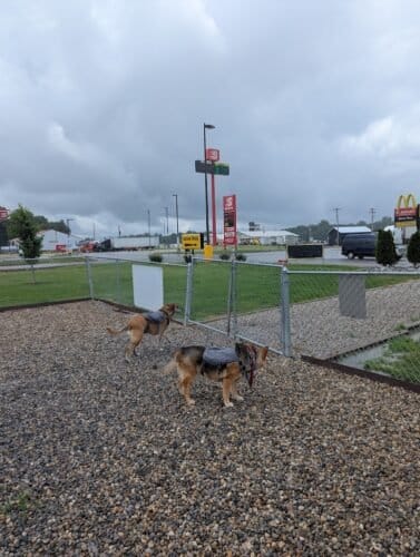 AC9h4noy8owrH5Bz00T5tPOa cvzCOihxqg50HMaH0ojlHGmzNCyPmTkn0XWHYkIdhbG3IH zssH 1rfpT Q0 5jz6sxk1rCchj6s3Lf3HvWoN1Q40Nx8E6BAxX1OukBeubCIOZ QzbeTww1600 h1000 k no