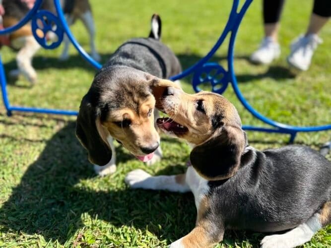 AC9h4noyD4kt YA0iBpcIImtkYb iVL c4h7i1aycBAMsj6gixD0707iaw2aMuTimDn44nE3THp2p01MdIgrq6E8BvPrbhwfw3T5gWizrZJJT1vDmdWnnhHNAMnYufbxcRQCTbCxRpu7Xgw1600 h1000 k no