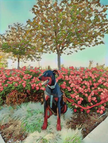 AC9h4noyGbkSxkBgJNTCLACAYP4rWi1NP3VlDshTERAj0sqJcXEzwV6loA1Od8ijSbc1qlvW18 HsS NRb OBQw1VJx1Ldk0Z khhYnNwQanWA3MJqq4jYYRh9VP3mi1YyaV944EruICJww1600 h1000 k no