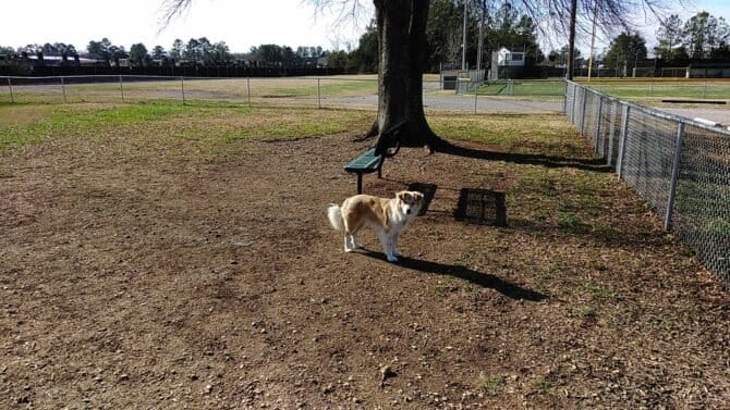 AC9h4noyHt8LogCTsmt7RP QduDOD9f3zdm5N58eQC9Fk jnW6  N smfso3L7HRDX3OgWpVmzc AjrM9 91 GV2Fm13bkfAr2SjpPbdffUjiuhnb9l6I1lL6A9nGOdEdhAEmzy7p2gbGgw1600 h1000 k no