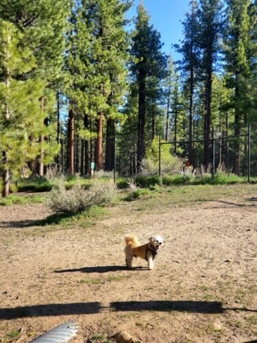 AC9h4noyJ1nmEb zy5Ge9Vwz4UnELPWBDr3KTNiJNHLg 2dM6cpl R4RVS7qhE2ErxZ4sfYEpxc2yydpfDznpJy4a5a1nAPVBRs SHwtNgPdANeyYIqQHxC qL6herxmBbBFA58Hi3qcsgw1600 h1000 k no