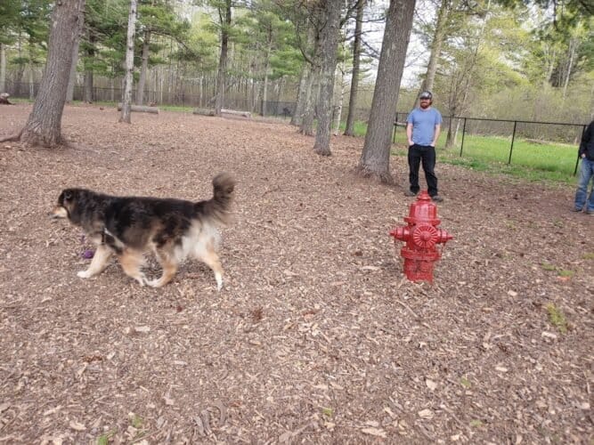 AC9h4noyLheHrPEEhXgTpgD9EK3eDVpzba2TpRiCOf03E9ibJkXb4FYMrSSdlA6v7BW4gpNLmQrjTIfQwO7RbB9tCHYKInlfHhki0Inh1r vdnac7PvTvNIsmHXCNVXlfAyo6dHIBw5XHww1600 h1000 k no