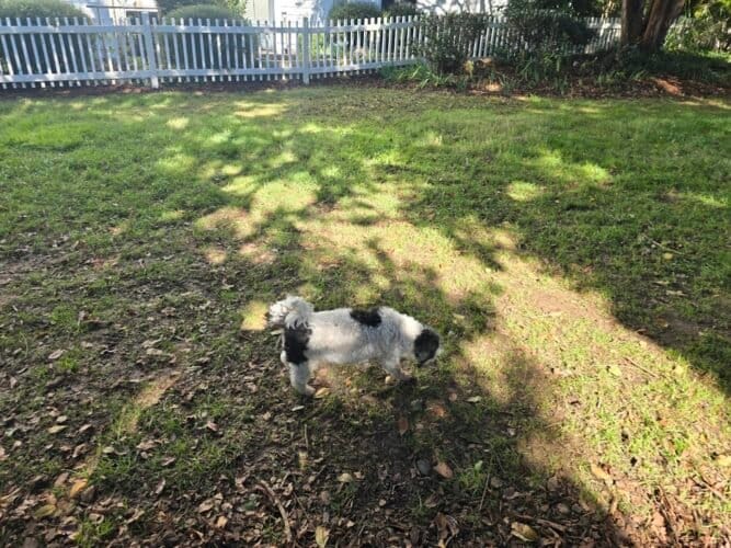 AC9h4noyPn3qJ3ZTJ2GJgppqQt8pkaqAoRKBF1yaQLJRWGJqNf2G2GATKKjjRPQUDSzxuoLlrIUUhGaHMSM6Ku17QlANUy5FbVm3tJO4BWfYM3GeWkltsRPFtz8iWpOlGWTqazANC1978Qw1600 h1000 k no