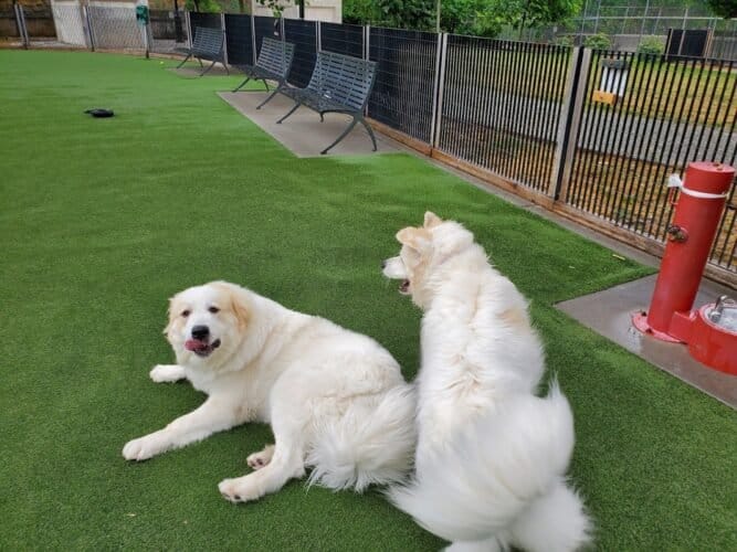 AC9h4noyUEfJnLGU8WhmlS5YYW54Ga 5xZ1RdH43x0wxjZS6BcAUd8a d8ssuaWIesZXFcNJzwmX7qvS3eOnSLUR1PlD2n1GSTVhTxZx7KoZjz8xGk  mdCeLcXnBXiDYNZRLbvMs9gw1600 h1000 k no