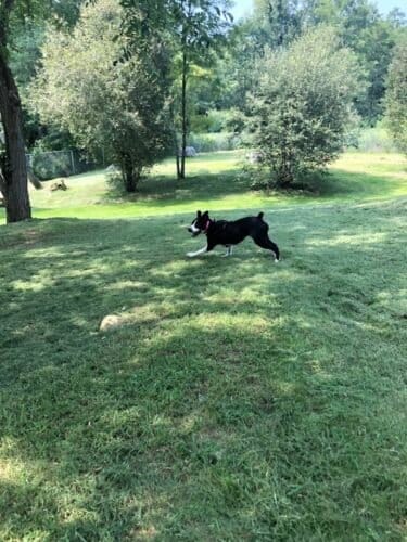 AC9h4noyadHeJZDAnWrznoOtWMgOHbOf0f5qR4h 7xpcQp0H9cIV7KD7N1WUebZdoIDmkko0zhOrK3FOnC6TWhqsPv4l8j r063EjHQ04RB6JJ7iu845hCxJPMn 3Eq1uONJUZF1FKCCw1600 h1000 k no