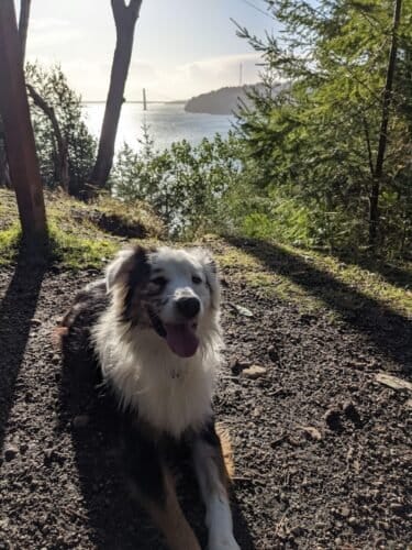 AC9h4noyhO8drQ9XsLzgJp VHUnr3xeoIavruJzv5GGRL3hNGm0RO8gMRdDcB67mfTeRbKcwfxBU8i y8nJOuXfImUE0 vCJxrgr3l9zpK8w1600 h1000 k no