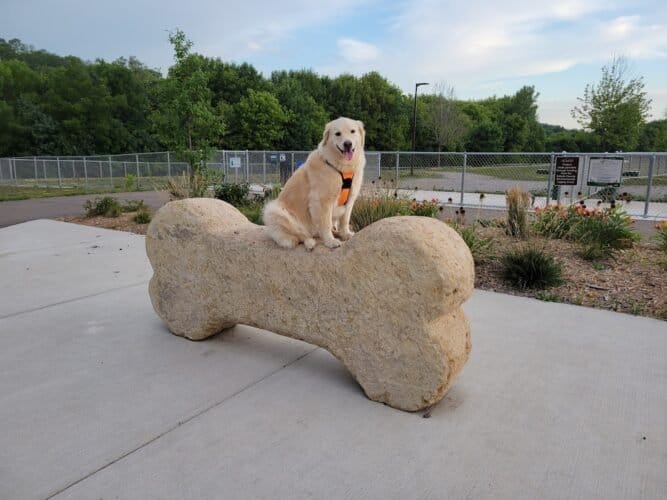 AC9h4noyhlFWZyALYIaxpHXzv tlM5uSlEsaNmCM4pqi6eUWNWkJ28A8UWyC5NAHHnAhG7ow04W7xHlcwuP mVG38QEn18TdNeJ8ptpcmAw1600 h1000 k no