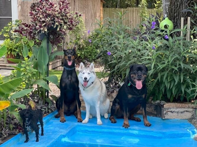 AC9h4noyyszCl9TcWqvjB0uHVV7R4R 36pSqO1xtJNXMSqba2WNrKddN4bAzxdiaG9SoGtx4l71x9dij95lP3ZLZ38ueT0jo 4BLdFp8EUnb6zRkzsd0UTbrEt5D0aGLPFAm0r4Qpugw1600 h1000 k no