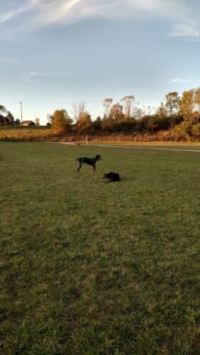 AC9h4noz j lgYiH5yXj6d9Q9 kAe 92ohGUArffT4SOUbCksTUuyPrnNkgAcY7yjX36RPTfpt94cbEcDo0 5IId0NN8Go9Mjt7K6mq8UvMVcv33HJV4CGQTHQJS3bTEffNYNHaSLNUJGAw1600 h1000 k no