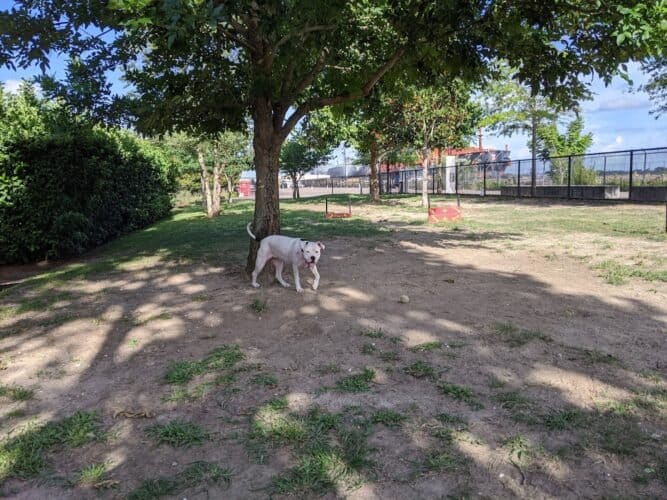 AC9h4noz lOUWBlAcvscQlSCkyP8mpYCojYyvCjd6n4GO29U7QSelOMdvk div8JzU8ZRW1hGwE2rzlljGRx5CJf8j8NQnIxsNanFOW3DO2Lzz4JOuC LNoyiwKGDdOMRpl48YU55CWzw1600 h1000 k no