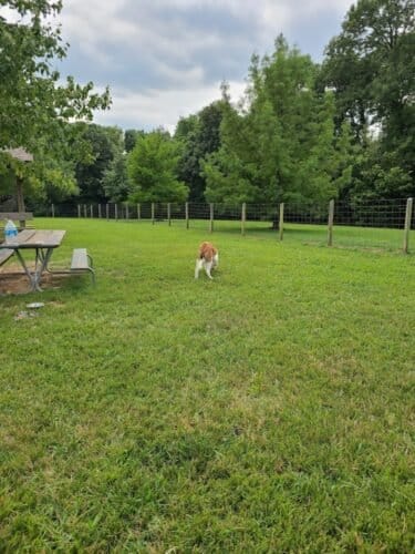 AC9h4nozGigb7NBxhSgqCL2tzs5ZJxfHUI2XHdDKD5jHStBLuKEXWBfApCl85HcWfvOh DsCqhg2zrmYuvCIdCYXcebXSBvV7UHO0IzKUI8w1600 h1000 k no