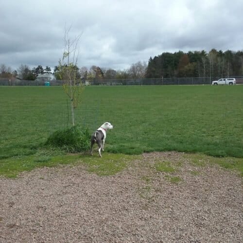 AC9h4nozNlcmFcIU0B1d kZmoZNcIa qg EsblCn PqvaO7j0rX19DaF3uyrqbd8H9H2fp1nIgsWUs858EKJyVsHaaLB5fRA1ANsxW8ajPgRYGqUB 4RgDaopv3ThTJj48Hj5BAQUOZSogw1600 h1000 k no