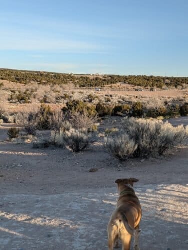 AC9h4nozOMS5gEhmEiueuViqkdRXs4 oOdLcdxXFJg3nMM5hNf7288SxpQo wXv8 4RIvoPZg4  zrbe aHx21Q9CepmZTojHosaWitNa RvLU5LoiX5ZrwcsX3cMg7gwLL1lxCvivUw1600 h1000 k no