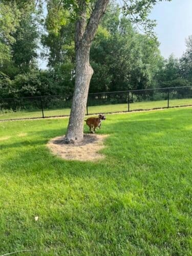 AC9h4nozOOk9IqLxRC kEHiKD3aKE 9r0keY8RIT ET55z5A4bCYoUv6BP42A2ZETwtGcBVFv AWqPyan7Eh42ycUy wgSo4krlqu 4w1600 h1000 k no