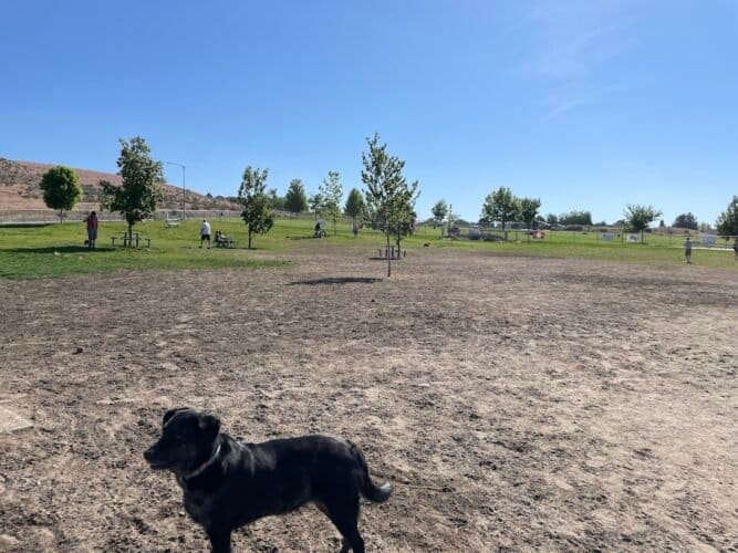 AC9h4nozQrCilhfLFTKY6POOnTNmNFZzzM0ZVal330KhDEF 2jnHDwIsAq0KnjXE5oq6P1OmPNAbqB2w2pxWqyJjC3PnIh28xPwwmuyxMh2du0OEfTbgcm y39AsH95BvOxQ42UUOUwKw1600 h1000 k no